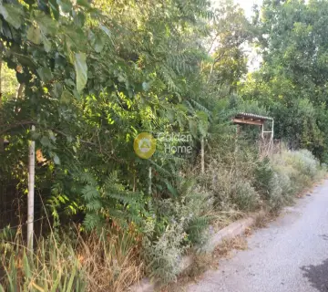 Professional Plot 175m<sup>2</sup> for rent photo 3263514
