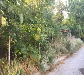Professional Plot 175m<sup>2</sup> for rent photo 3263517