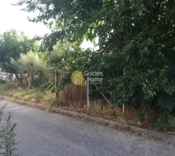 Professional Plot 175m<sup>2</sup> for rent photo 3263519