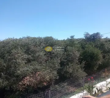 Οικιστικό 1560τ.μ. προς πώληση φωτογραφία 5