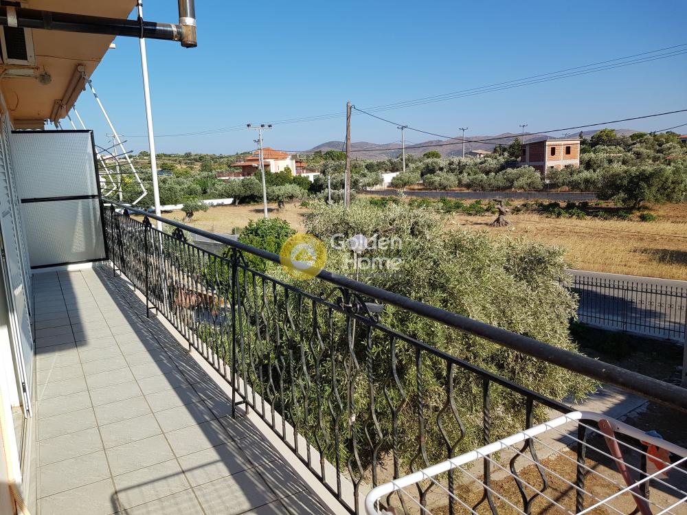 Golden Home Property Image