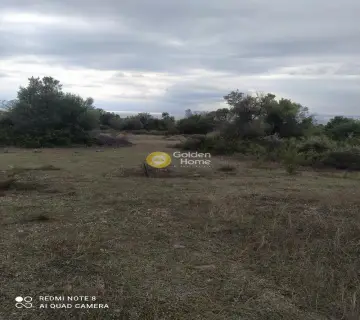 Professional Plot 9000m<sup>2</sup> for sale photo 4