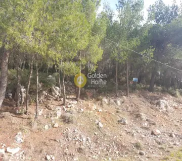 Residential 1020m<sup>2</sup> for sale photo 1