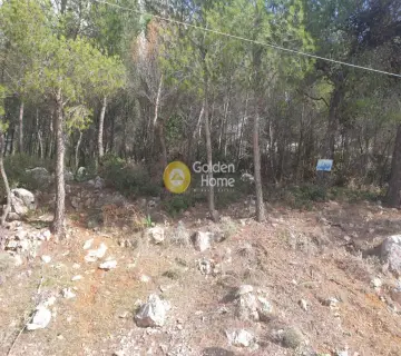 Residential 1020m<sup>2</sup> for sale photo 3