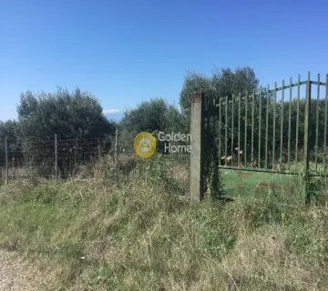 Parcel 4181m<sup>2</sup> for sale photo 3312816