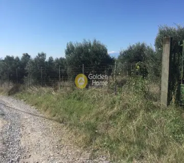 Parcel 4181m<sup>2</sup> for sale photo 3312819