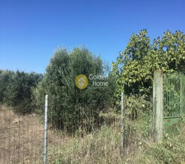 Parcel 4181m<sup>2</sup> for sale photo 3312833