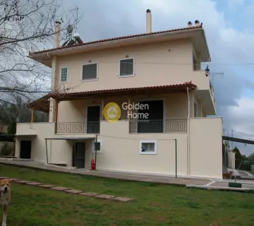 Golden Home Property Image