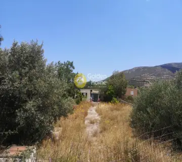 Οικιστικό 700τ.μ. προς πώληση φωτογραφία 3705975