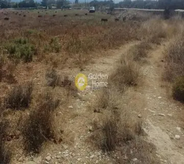 Residential 4000m<sup>2</sup> for sale photo 1