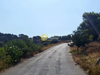 Αγροτεμάχιο 385τ.μ. προς πώληση φωτογραφία 10
