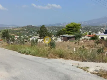 Αγροτεμάχιο 385τ.μ. προς πώληση φωτογραφία 11