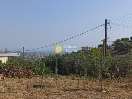 Αγροτεμάχιο 385τ.μ. προς πώληση φωτογραφία 9