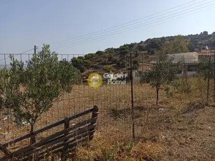 Αγροτεμάχιο 385τ.μ. προς πώληση φωτογραφία 7