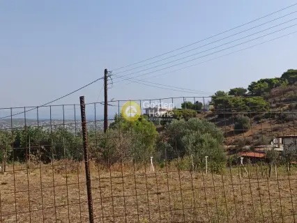 Αγροτεμάχιο 385τ.μ. προς πώληση φωτογραφία 6