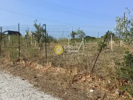 Αγροτεμάχιο 385τ.μ. προς πώληση φωτογραφία 14