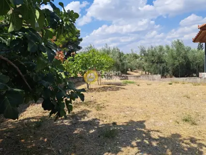Μονοκατοικία 95τ.μ. προς πώληση φωτογραφία 8