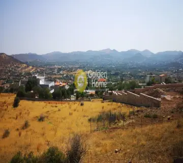 Golden Home Property Image