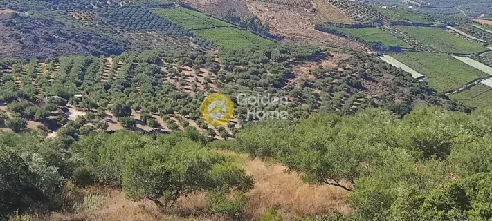 Residential 4850m<sup>2</sup> for sale photo 3308199