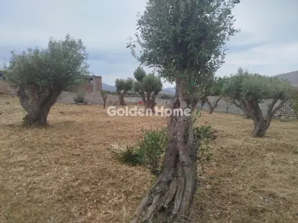 Μονοκατοικία 100τ.μ. προς πώληση φωτογραφία 2
