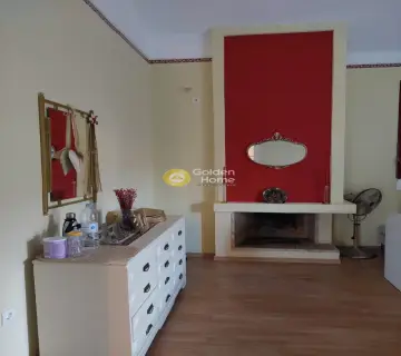 Μονοκατοικία 300τ.μ. προς πώληση φωτογραφία 45