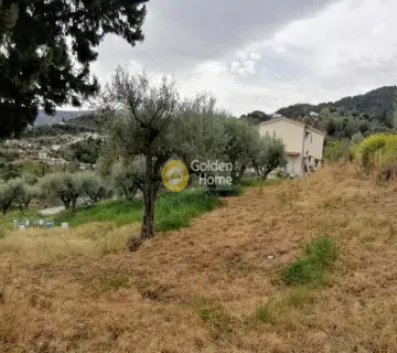 Residential 1692m<sup>2</sup> for sale photo 3280245