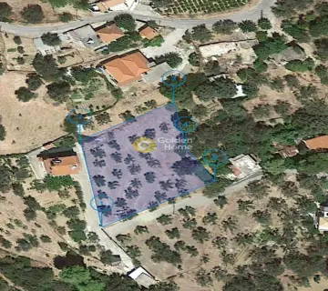 Residential 1692m<sup>2</sup> for sale photo 3280245