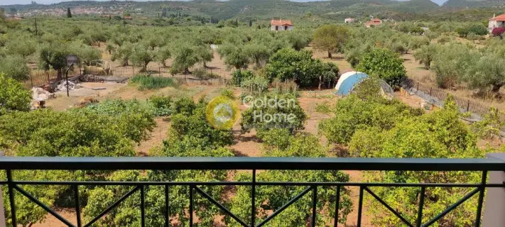 Hotel 350m<sup>2</sup> for sale photo 7