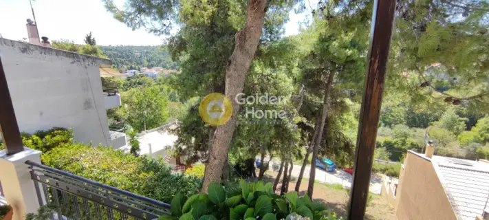 Οροφομεζονέτα 250τ.μ. προς πώληση φωτογραφία 43