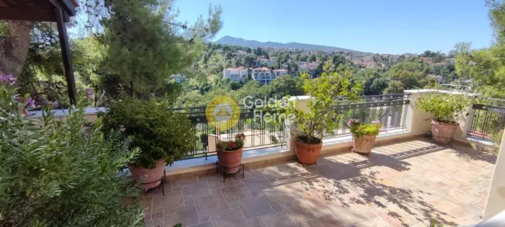 Οροφομεζονέτα 250τ.μ. προς πώληση φωτογραφία 28
