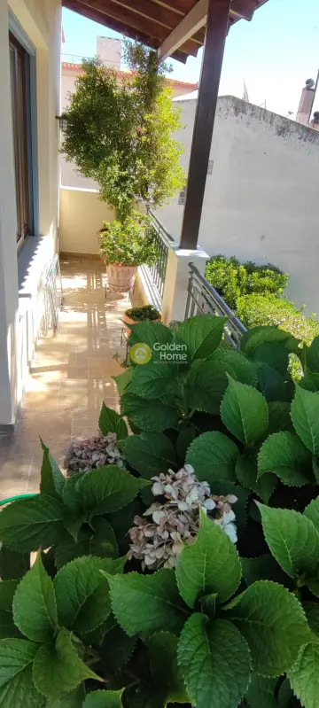 Οροφομεζονέτα 250τ.μ. προς πώληση φωτογραφία 44
