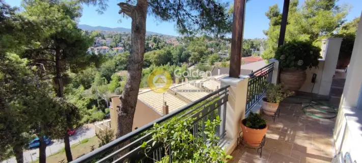 Οροφομεζονέτα 250τ.μ. προς πώληση φωτογραφία 31