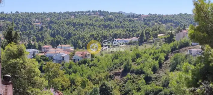Οροφομεζονέτα 250τ.μ. προς πώληση φωτογραφία 1