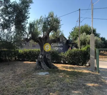 Μονοκατοικία 59τ.μ. προς πώληση φωτογραφία 3508856