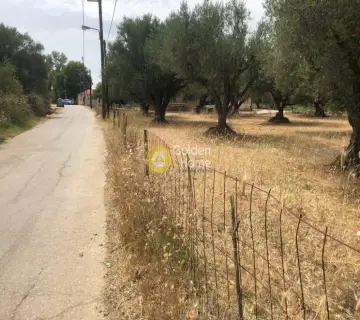 Residential 2827m<sup>2</sup> for sale photo 3508753