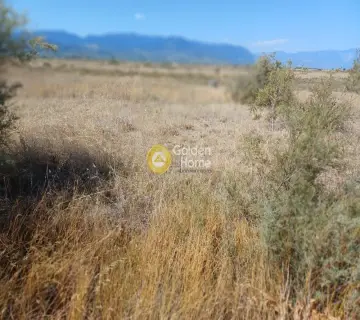 Parcel 18000m<sup>2</sup> for sale photo 3