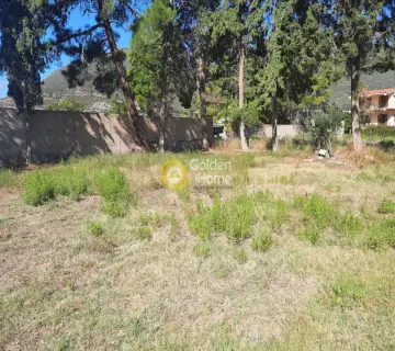 Residential 1053m<sup>2</sup> for sale photo 3285449