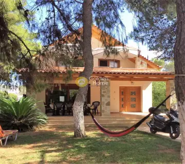 Μονοκατοικία 226τ.μ. προς πώληση φωτογραφία 1