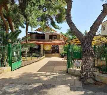 Μονοκατοικία 226τ.μ. προς πώληση φωτογραφία 2