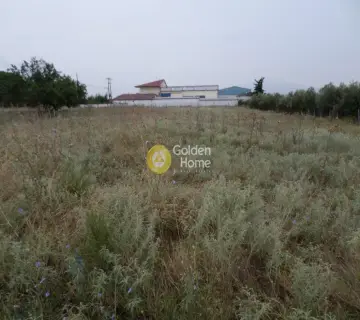 Αγροτεμάχιο 2477τ.μ. προς πώληση φωτογραφία 2