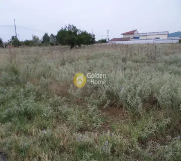 Αγροτεμάχιο 2477τ.μ. προς πώληση φωτογραφία 3