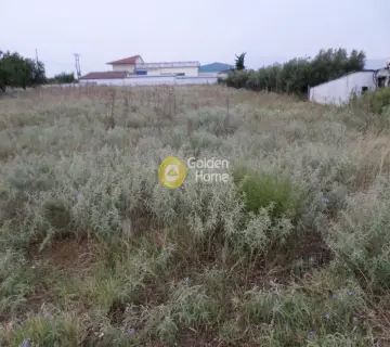 Αγροτεμάχιο 2477τ.μ. προς πώληση φωτογραφία 4
