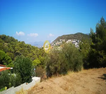 Αγροτεμάχιο 550τ.μ. προς πώληση φωτογραφία 3