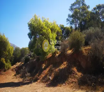 Αγροτεμάχιο 550τ.μ. προς πώληση φωτογραφία 4
