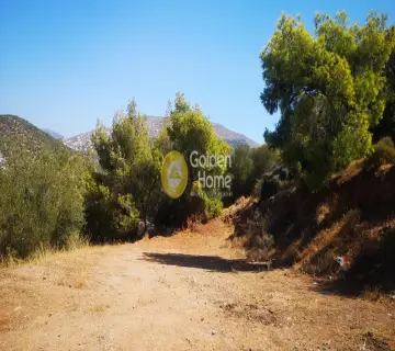 Αγροτεμάχιο 550τ.μ. προς πώληση φωτογραφία 5