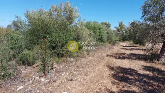 Residential 648m<sup>2</sup> for sale photo 4