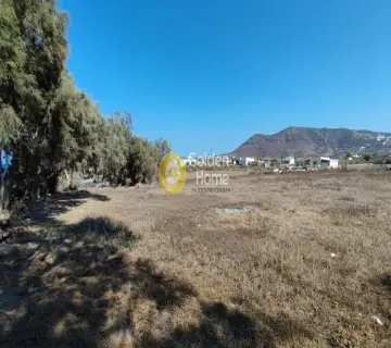 Residential 4065m<sup>2</sup> for rent photo 3291657