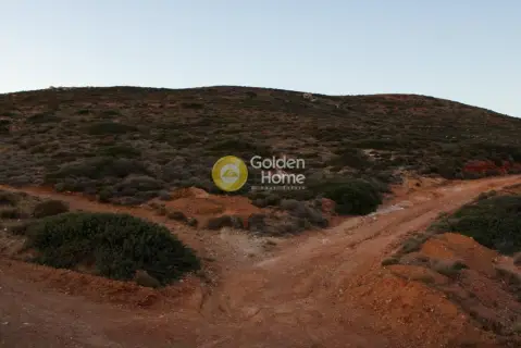 Επαγγελ. Οικόπεδο 107903τ.μ. προς πώληση φωτογραφία 8