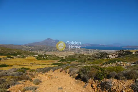 Επαγγελ. Οικόπεδο 107903τ.μ. προς πώληση φωτογραφία 3