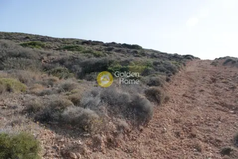 Επαγγελ. Οικόπεδο 107903τ.μ. προς πώληση φωτογραφία 12